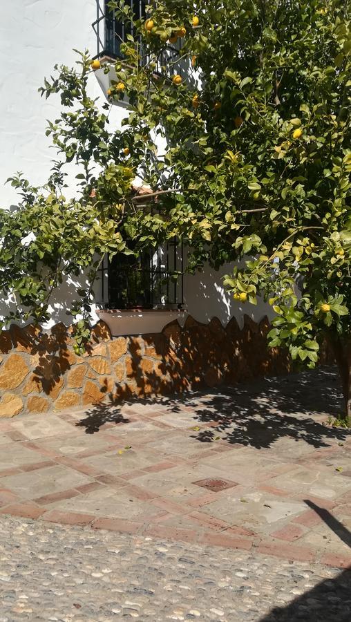 Holiday home El Penon *